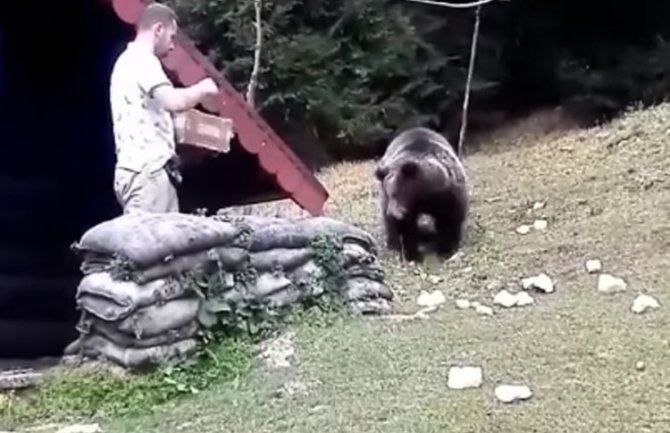 Medvjed svaki dan dolazi na ručak pred restoran na Igmanu (VIDEO)