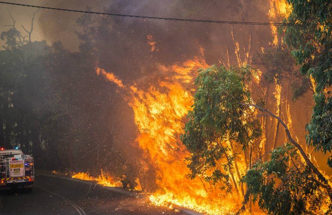 Australija: Požari i dalje haraju, naređena evakuacija