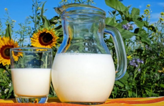 U 2019. godini prerada mlijeka na gazdinstvima podržana sa 1,8 miliona eura