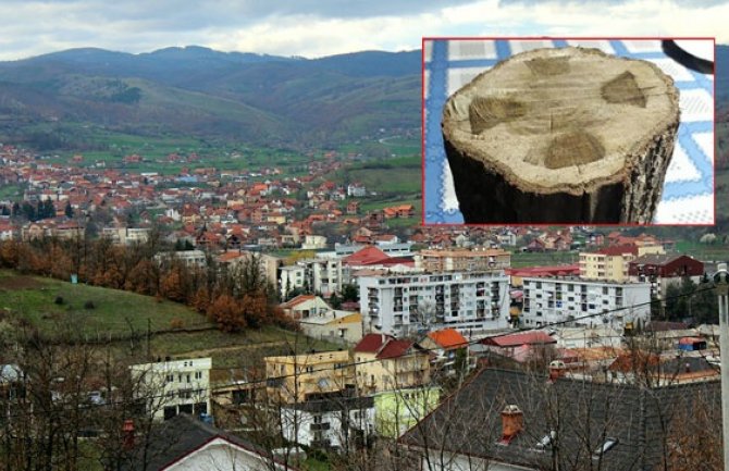 Misteriozna pojava kod Kosovske Kamenice: Pronađen krst u drvetu (FOTO)