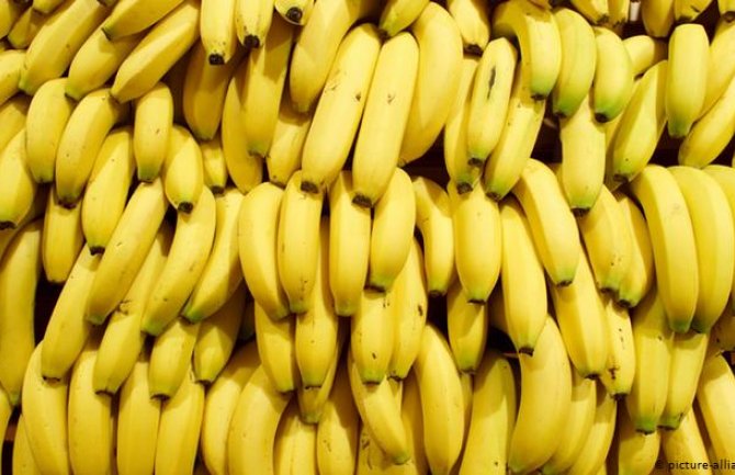 Preko 800 kilograma kokaina pronađeno među bananama