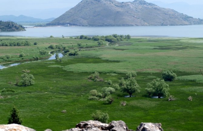 Skadarsko jezero: Od sjutra zabranjen ribolov