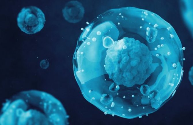 T-ćelije nakon obične prehlade mogu da pruže zaštitu od kovida