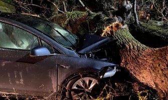 Oluja u Britaniji:  Teslin autopilot spasio živote 8 ljudi, nevrijeme čupalo drveće iz korijena (FOTO)
