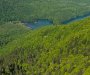 Šume u Plavu uništio potkornjak: Za sječu doznačeno 15.000 kubika