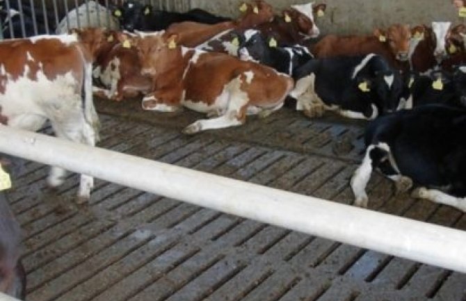 Podrška u dostizanju standarda dobrobiti životinja na farmama