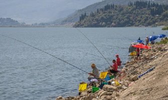 Od marta do juna neka se svi osvijeste! U Skadarskom jezeru ribe se mrijeste!