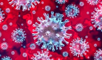 Nova teorija o nastanku koronavirusa: Covid-19 nastao par mjeseci prije Vuhana