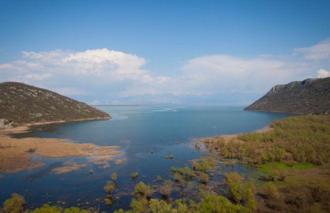 Na Skadarskom jezeru dvije osobe uhvaćene u ilegalnom izlovu ribe