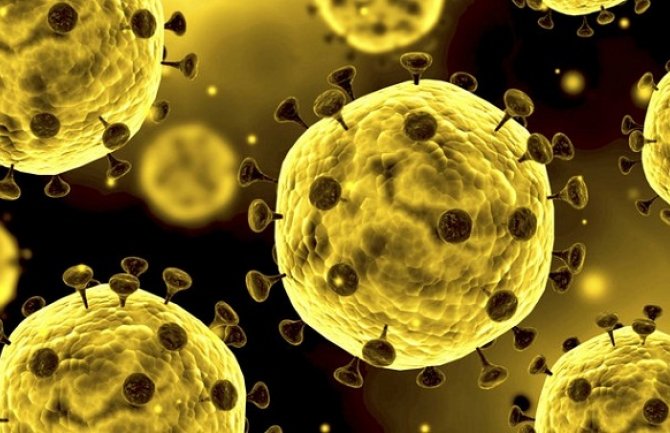 Hrvatska: Potvđeno 68 novih slučajeva, ukupno 1079 oboljelih od koronavirusa