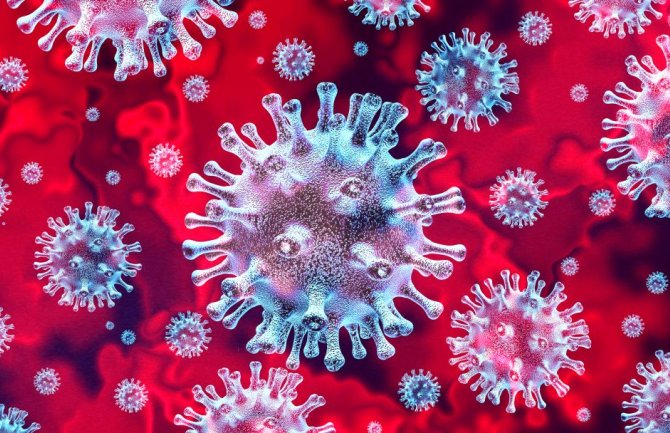 Još šest zaraženih korona virusom 