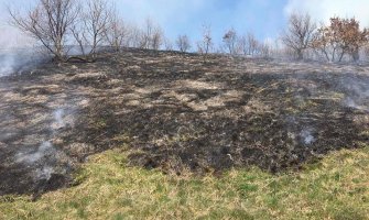 Srbija: Roštiljali pa izazvali veliki požar na Fruškoj gori