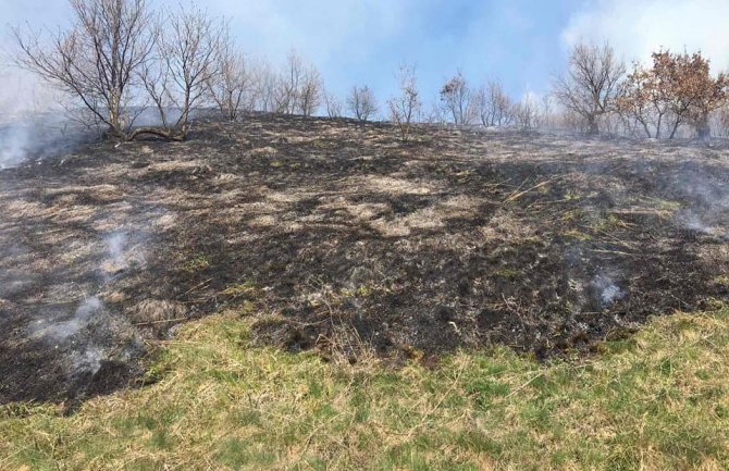 Srbija: Roštiljali pa izazvali veliki požar na Fruškoj gori
