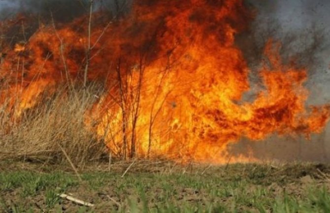Desetine požara na području bjelopoljske opštine, ugrožene i kuće, ekipe i dalje na terenu