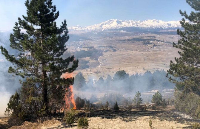 Požar na Žabljaku se širi prema kanjonu Tare: Vatra prijeti Nacionalnom parku