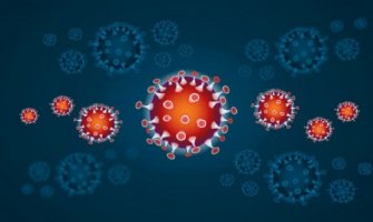 Naučnici otkrili veliki broj sojeva koronavirusa,  najagresivnije vrste se šire Evropom i Njujorkom