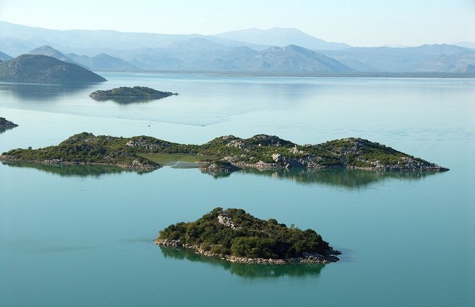 Spriječen izlov ribe električnom energijom na Skadarskom jezeru