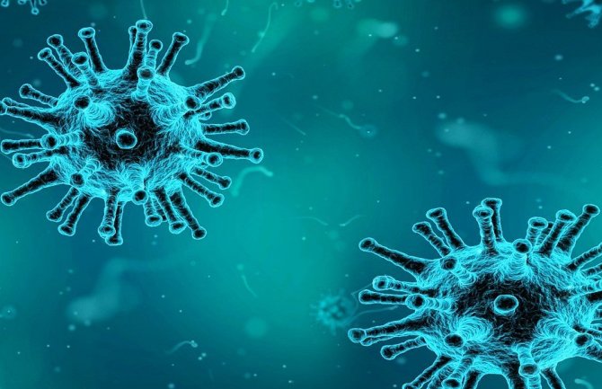 Naučnici u Švajcarskoj otkrili koncentracije koronavirusa u kanalizaciji, 