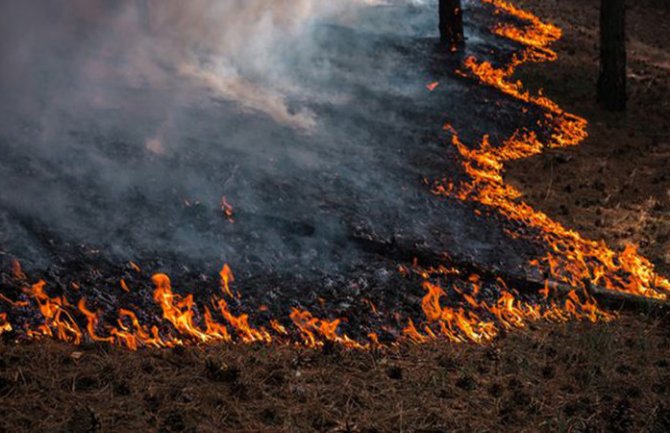Narednih dana povećan rizik od požara, građani da ne lože vatru na otvorenom