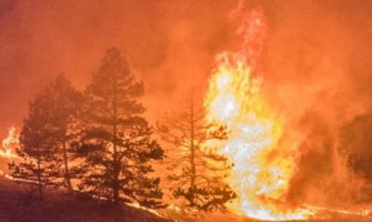 Crna Gora spremna za sezonu šumskih požara