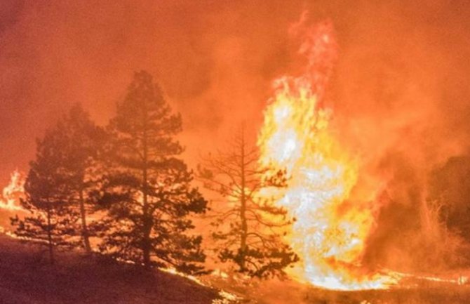 Crna Gora spremna za sezonu šumskih požara