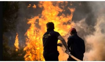 Pljevlja: Izbio požar u pekari