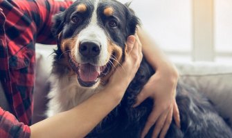 Naučnici tvrde: Psi mogu da prepoznaju lošeg čovjeka 