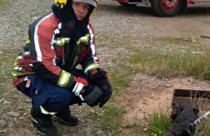 PG: Vatrogasci iz šahte spasili povrijeđenog psa