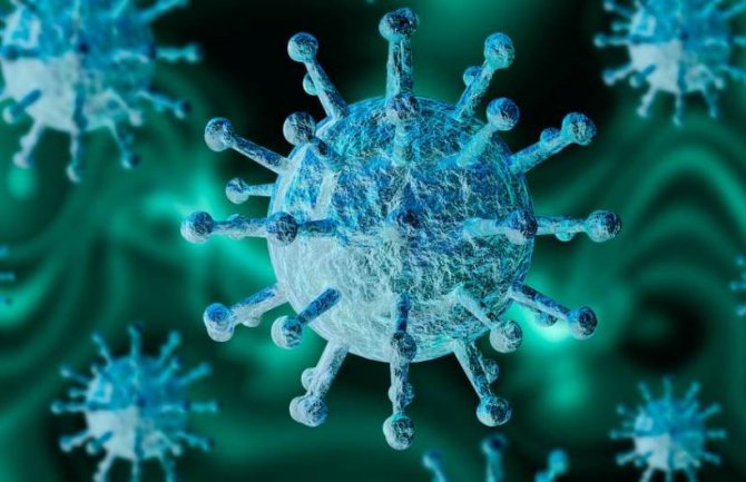 U posljednja 24 sata u Srbiji potvrđeno 114 novih slučajeva koronavirusa