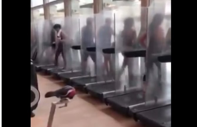 Kako se vježba u Hongkongu uz nove mjere (VIDEO)