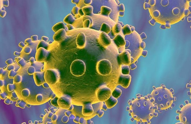 Mutacija mogla da učini koronavirus infektivnijim?