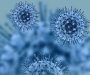 Koronavirus napada i bubrege: U roku od 48 sati virus se razmnožio 1.000 puta