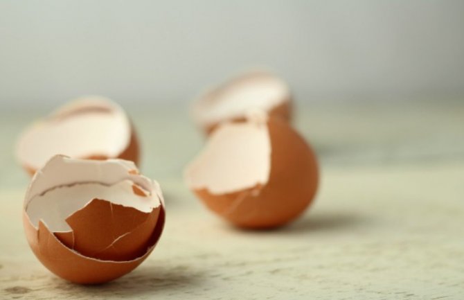 Ne bacajte ljuske od jajeta: Dobre su kao lijek, a možete ih koristiti i za ovo