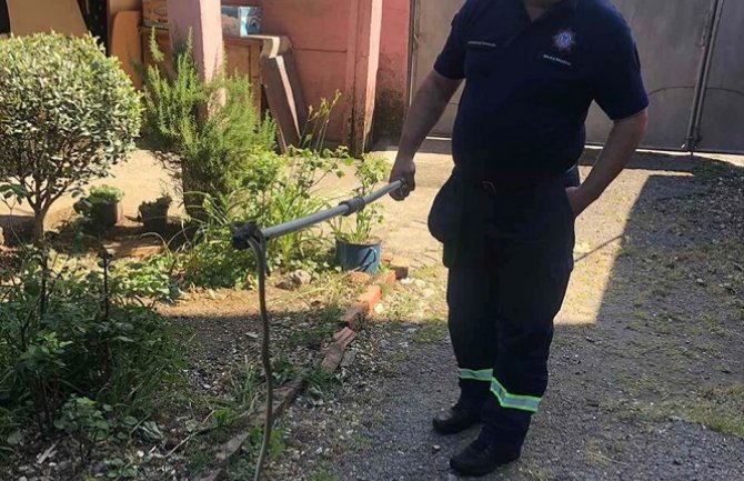 Podgorica: Vatrogasci ponovo intervenisali zbog zmije
