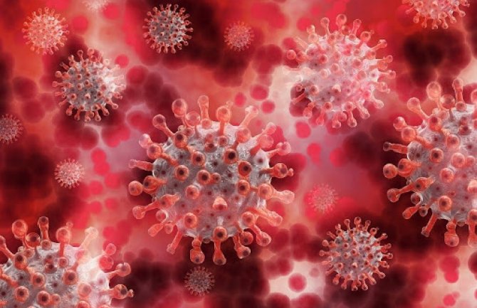 U Srbiji u protekla 24 sata zabilježeno novih 69 slučajeva koronavirusa