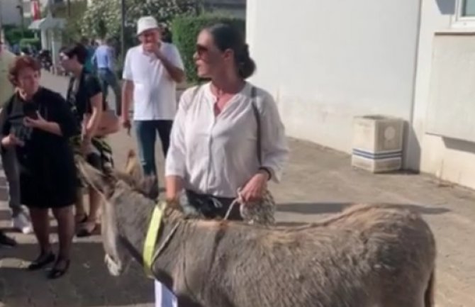 Careviću i Radoviću zabranjen ulaz, Bajković dovela magarca ispred Opštine
