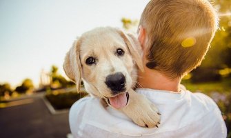 Da li mogu psi da se zaljube?