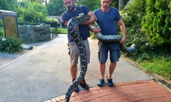 Bizarna situacija pri hapšenju u Zagrebu: Policija zatekla zmiju dugačku 5 ipo metara