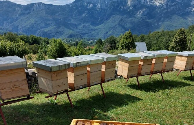 Nabavljena kvalitetna prihrana za pčele, pčelari na jugu će dobiti 4 kg po društvu, za sjeverni i centralni region po 2 kg