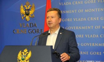 Mulić: Požarna sezona u našoj zemlji mirna