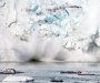 Ledeni pokrivač Grenlanda za 20 godina izgubio 4.700 milijardi tona leda