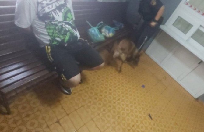 Pokušao da unese drogu bratu u zatvor, otkrio ga pas