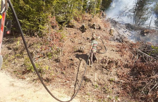 Brzom intervencijom vatrogasaca ugašen šumski požar u Mateševu