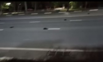 Veliki broj mrtvih ptica na ulicama ruskog grada Balakovo (VIDEO)