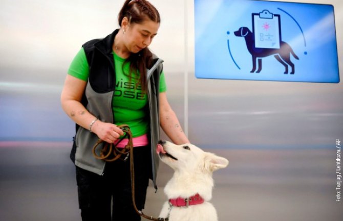 Helsinki: Na aerodromu psi otkrivaju koronavirus