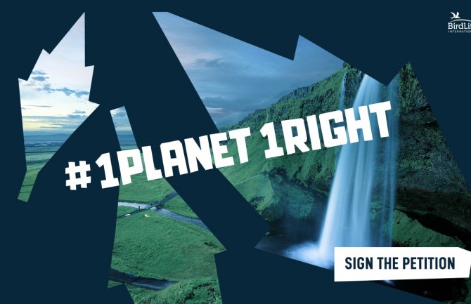 Preko 100.000 građana traži da UN prizna novo ljudsko pravo - pravo na zdravu planetu
