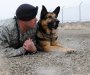 Vojni psi u SAD-u bi mogli dobiti 