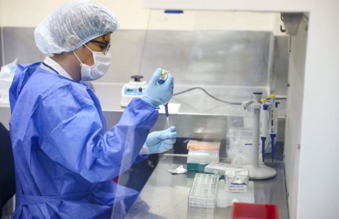 Još 74 slučaja koronavirusa, preminule tri osobe: Iz Njemačke još 72 pozitivna uzorka