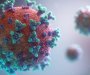 Novi soj koronavirusa napada mlade koji razvijaju tešku kliničku sliku, alarmiran SZO