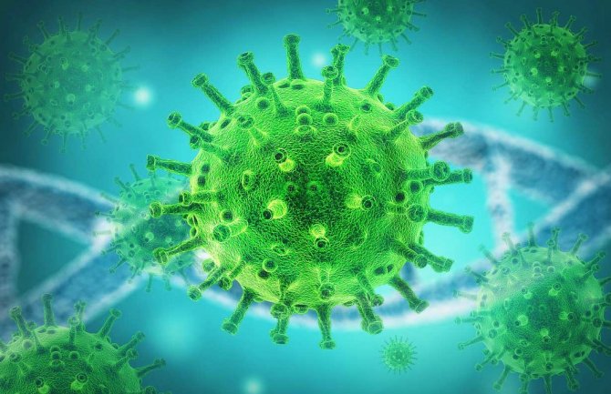 Još jedan novi soj koronavirusa, brojne mutacije zabrinule naučnike
